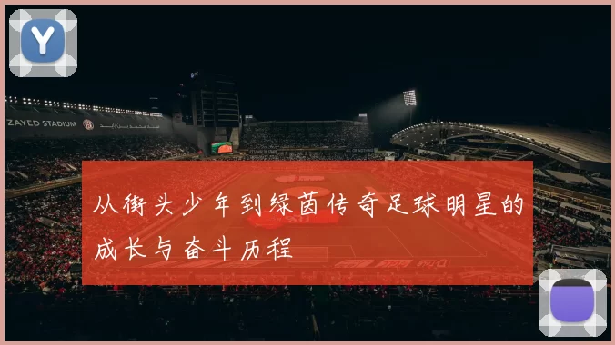 从街头少年到绿茵传奇足球明星的成长与奋斗历程