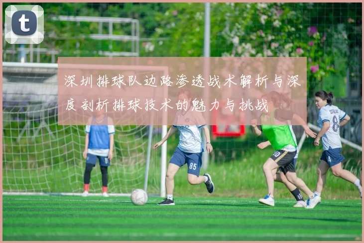深圳排球队边路渗透战术解析与深度剖析排球技术的魅力与挑战
