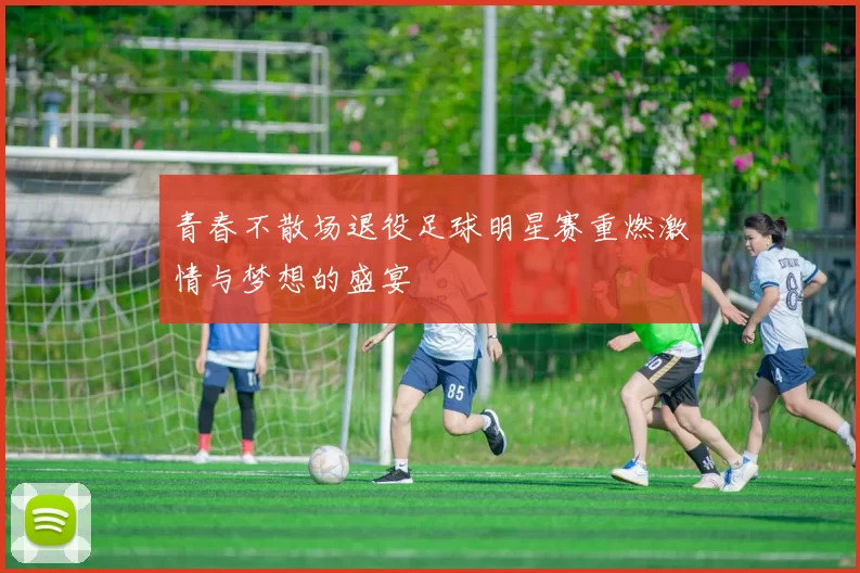 青春不散场退役足球明星赛重燃激情与梦想的盛宴