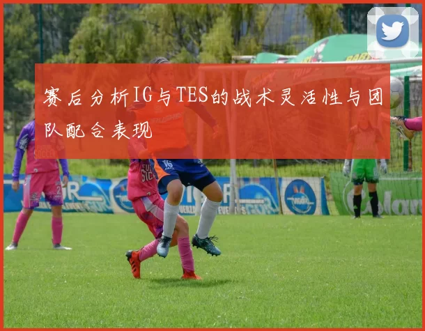 赛后分析IG与TES的战术灵活性与团队配合表现