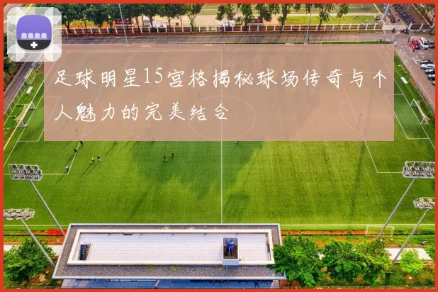 足球明星15宫格揭秘球场传奇与个人魅力的完美结合