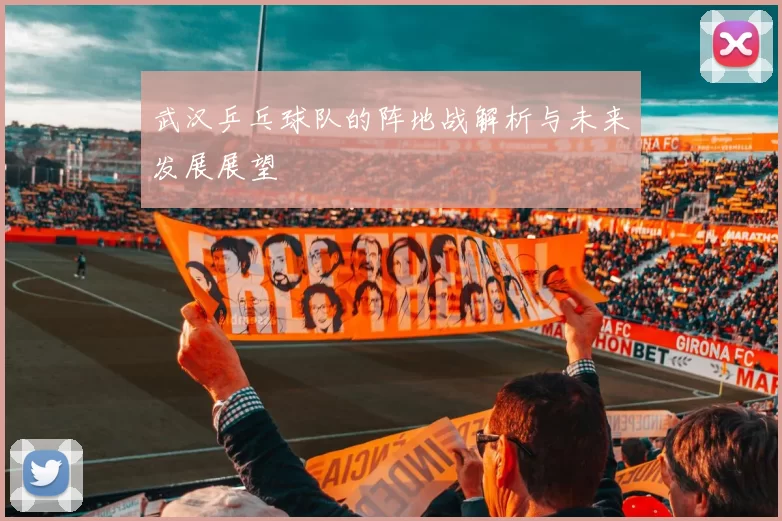 武汉乒乓球队的阵地战解析与未来发展展望
