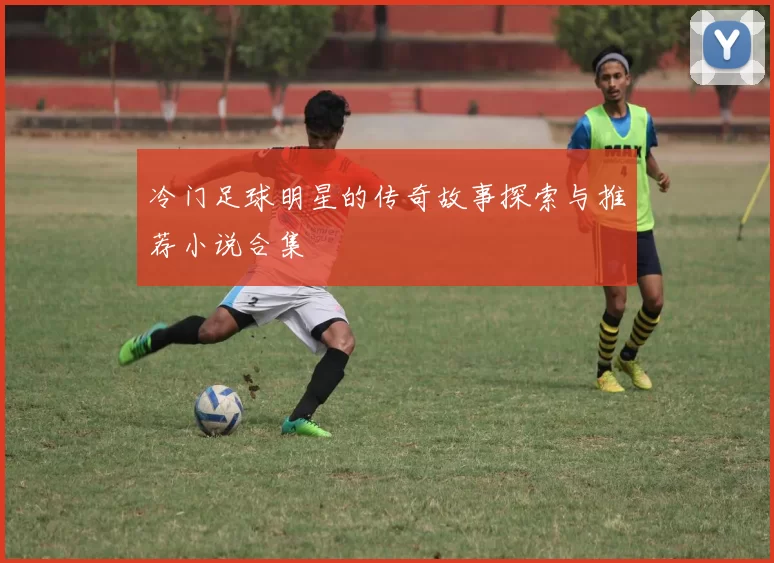 冷门足球明星的传奇故事探索与推荐小说合集