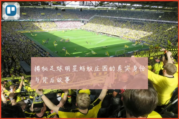 揭秘足球明星蚂蚁庄园的真实身份与背后故事