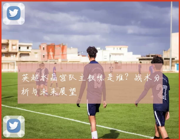英超水晶宫队主教练是谁？战术分析与未来展望