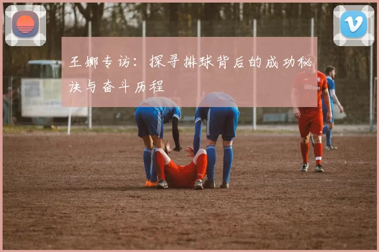 王娜专访：探寻排球背后的成功秘诀与奋斗历程