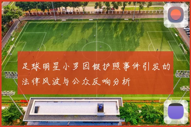 足球明星小罗因假护照事件引发的法律风波与公众反响分析