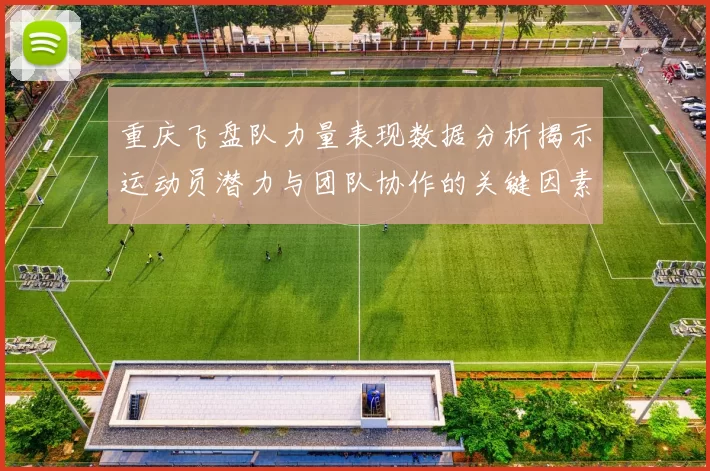 重庆飞盘队力量表现数据分析揭示运动员潜力与团队协作的关键因素