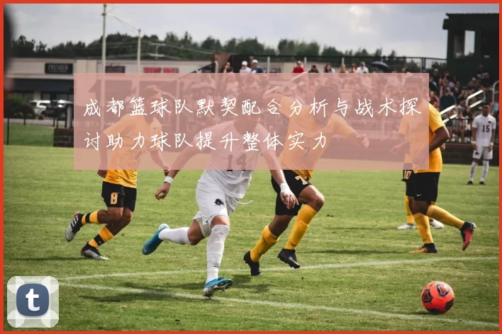 成都篮球队默契配合分析与战术探讨助力球队提升整体实力