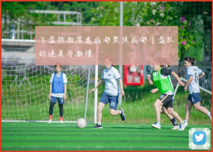 飞盘热潮席卷成都聚焦成都飞盘队的速度与激情