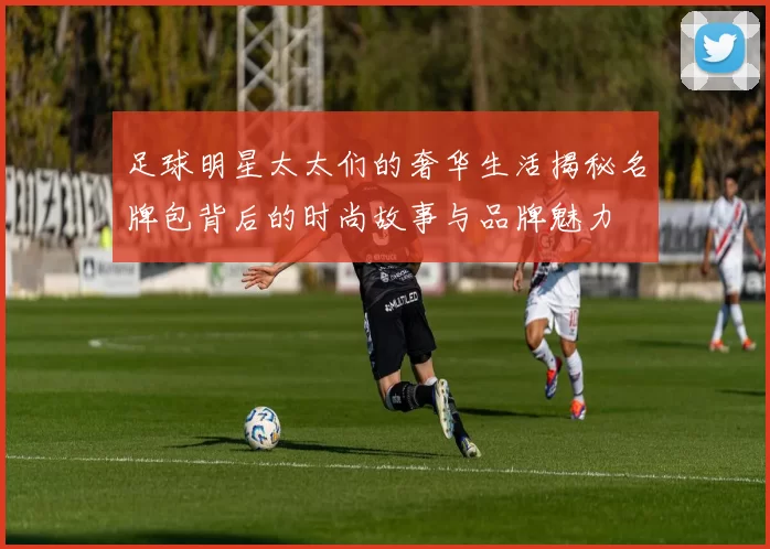 足球明星太太们的奢华生活揭秘名牌包背后的时尚故事与品牌魅力