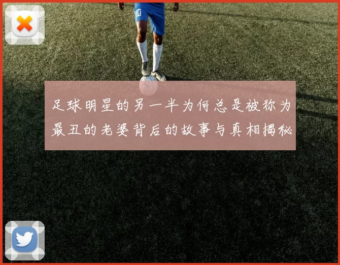 足球明星的另一半为何总是被称为最丑的老婆背后的故事与真相揭秘