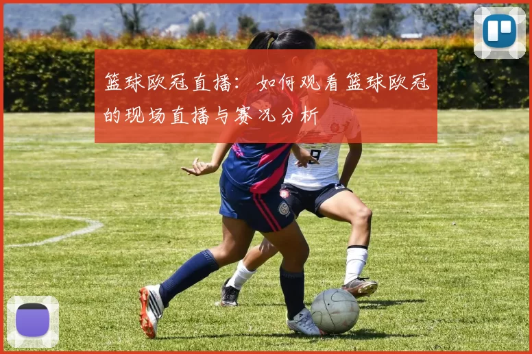篮球欧冠直播：如何观看篮球欧冠的现场直播与赛况分析