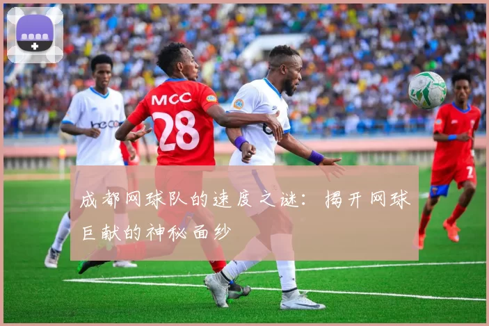 成都网球队的速度之谜：揭开网球巨献的神秘面纱