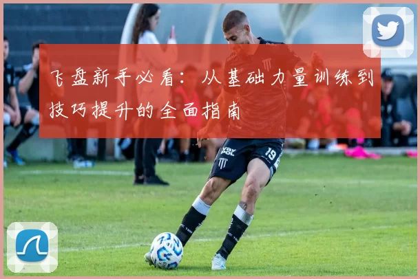 飞盘新手必看：从基础力量训练到技巧提升的全面指南