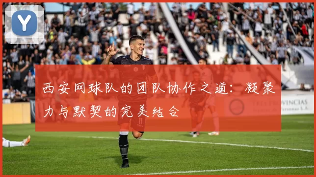 西安网球队的团队协作之道：凝聚力与默契的完美结合
