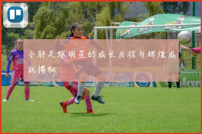 小胖足球明星的成长历程与辉煌成就揭秘