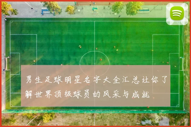 男生足球明星名字大全汇总让你了解世界顶级球员的风采与成就