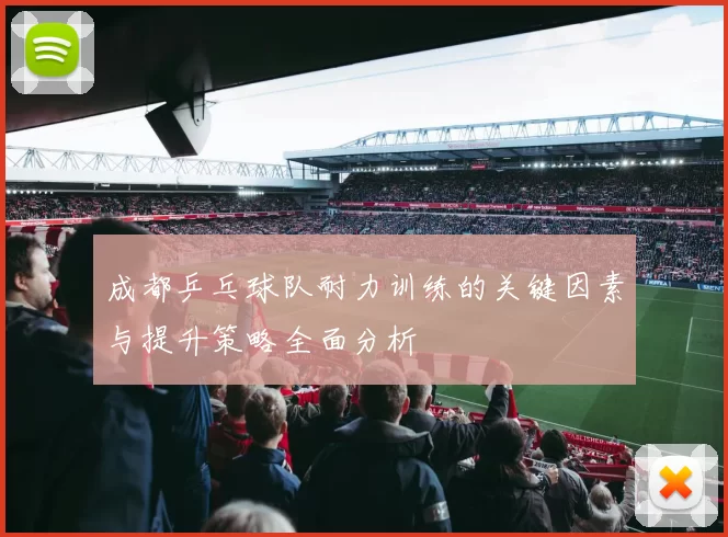 成都乒乓球队耐力训练的关键因素与提升策略全面分析