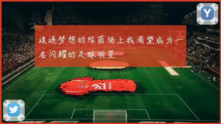 追逐梦想的绿茵场上我渴望成为一名闪耀的足球明星