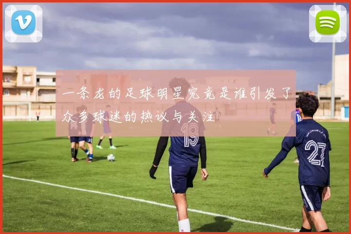 一条龙的足球明星究竟是谁引发了众多球迷的热议与关注