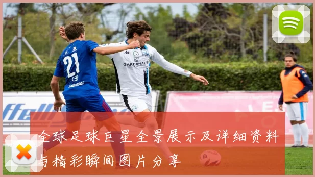 全球足球巨星全景展示及详细资料与精彩瞬间图片分享