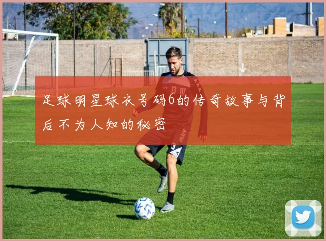 足球明星球衣号码6的传奇故事与背后不为人知的秘密